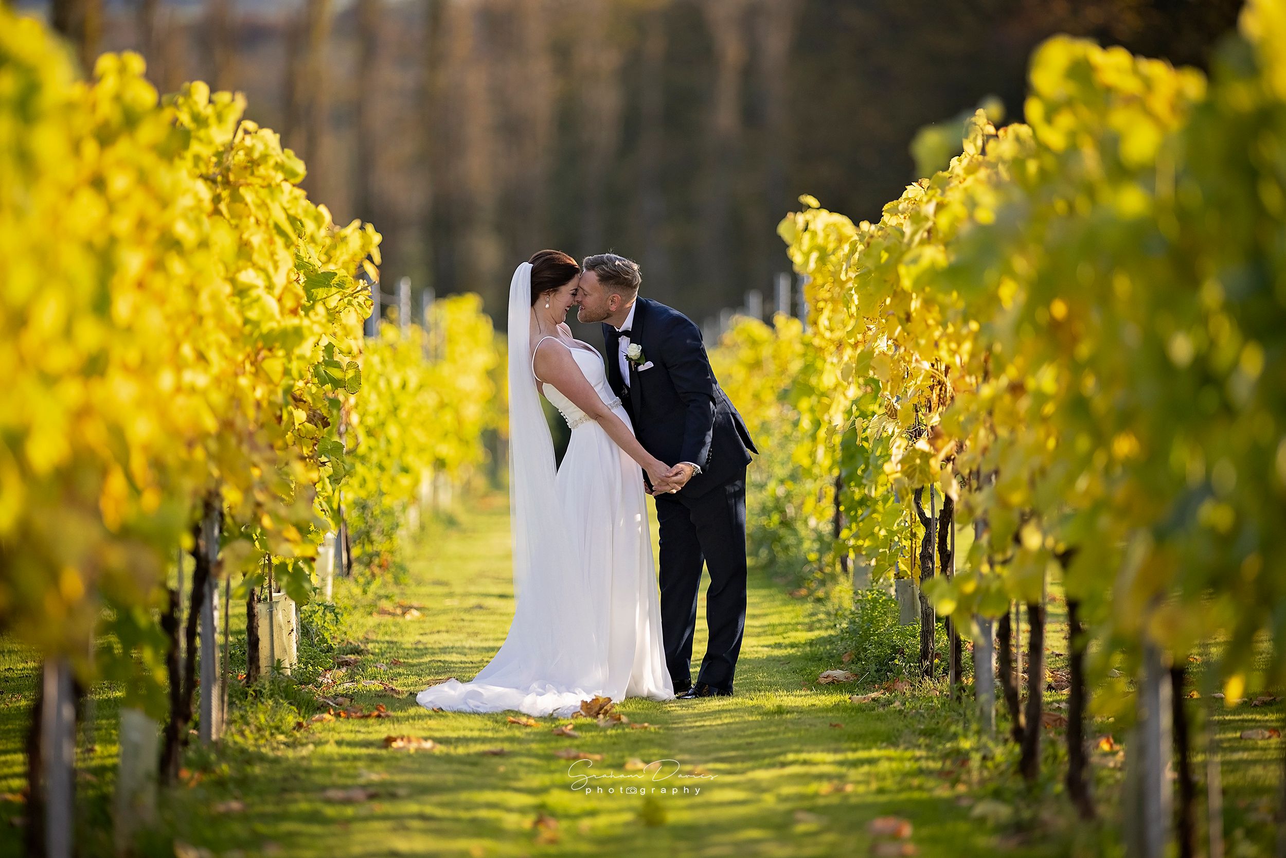 Between The Vines, a wedding photograph by Graham Davies at Llanerch Vineyard